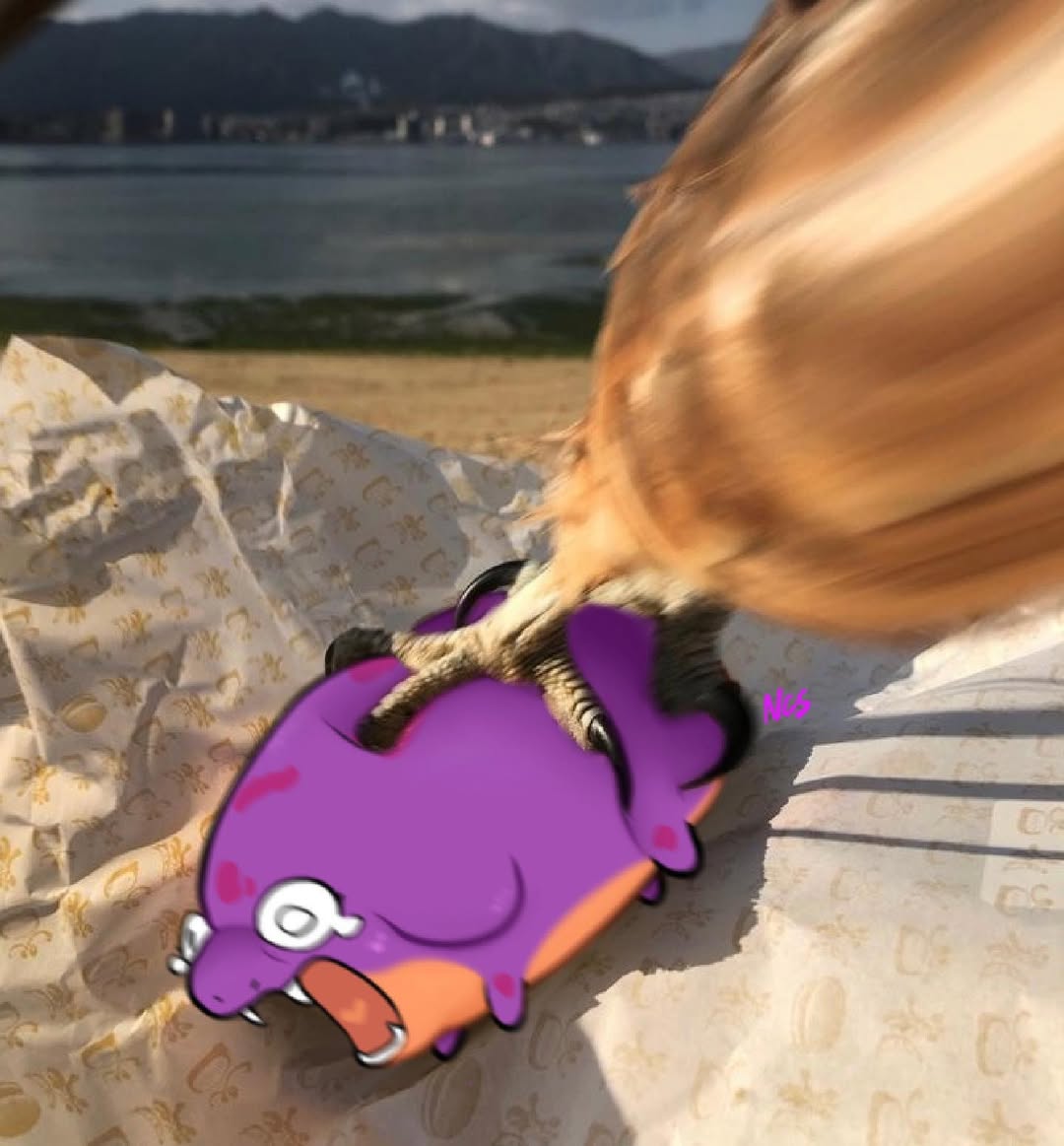 Beach relaxation meme