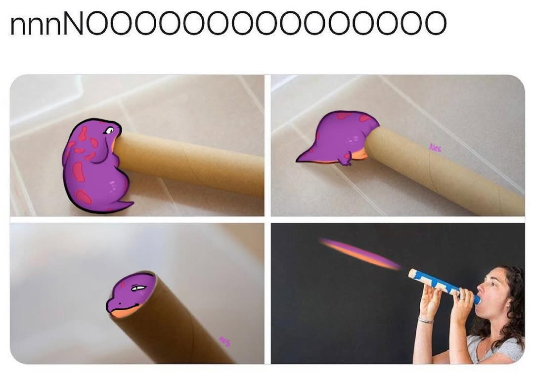 Cardboard tube telescope meme
