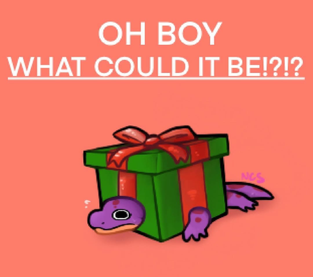 Present box excitement meme