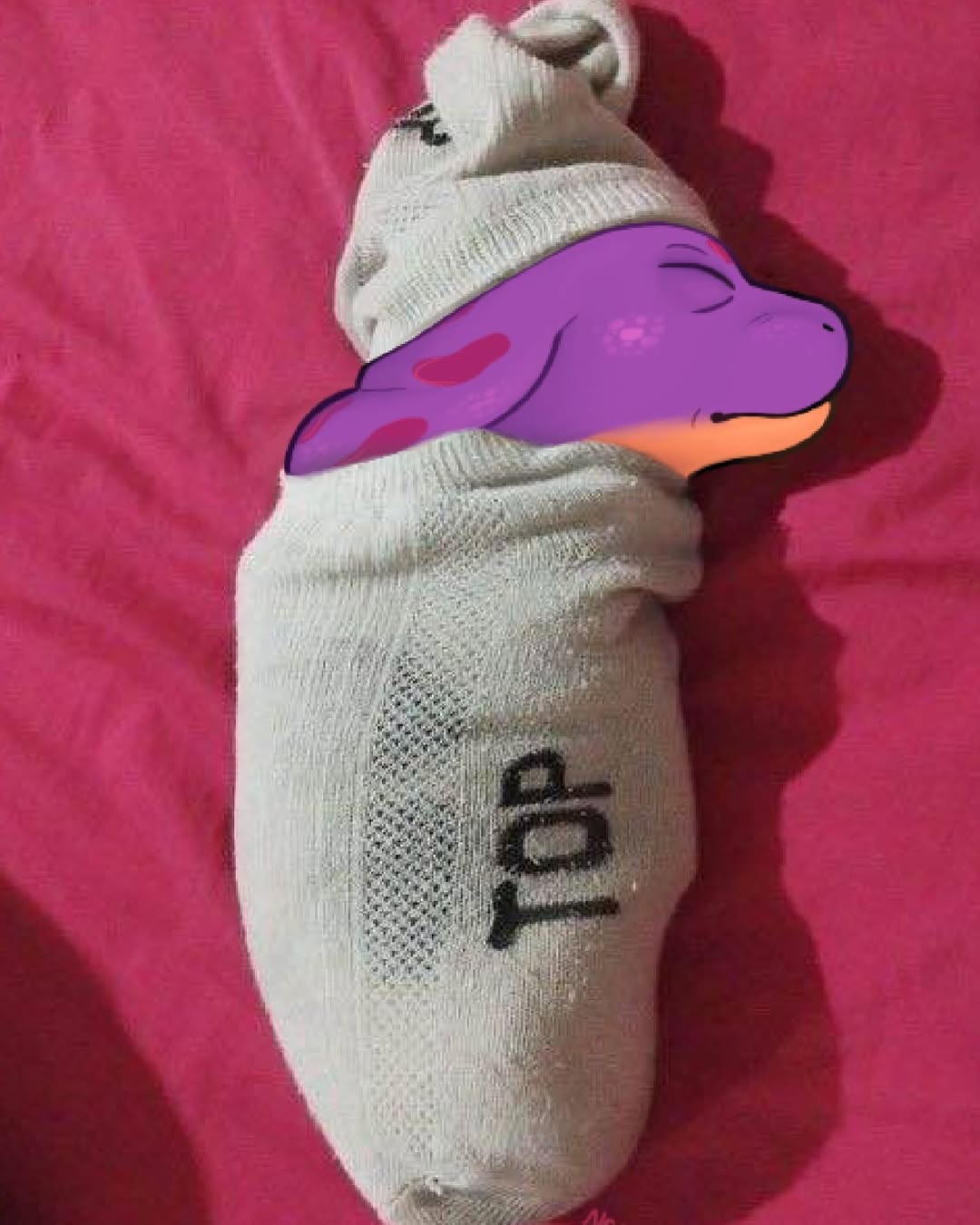 Sock peek meme