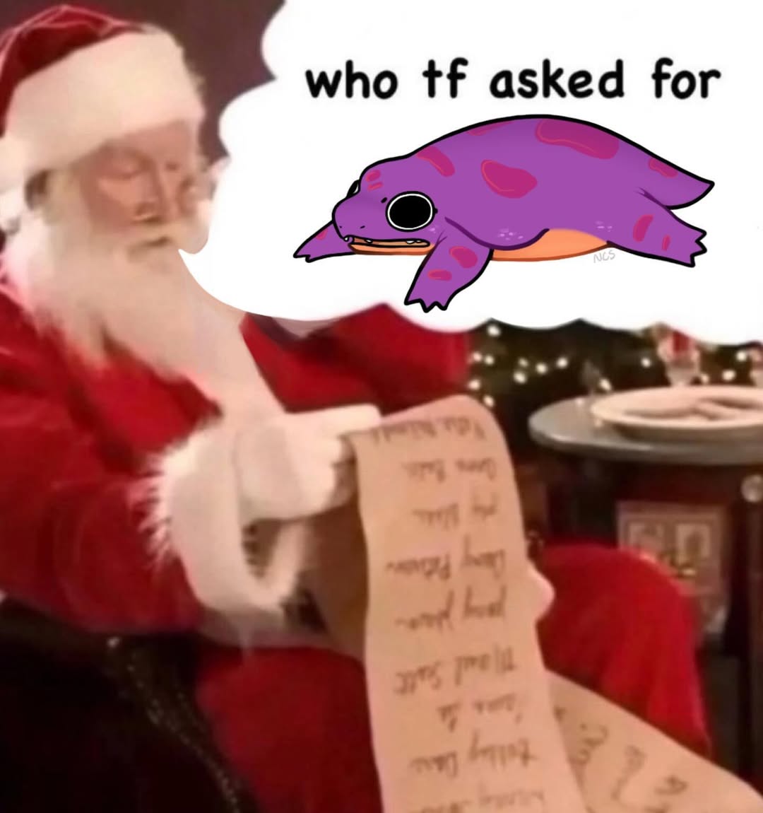 Santa's list who asked meme