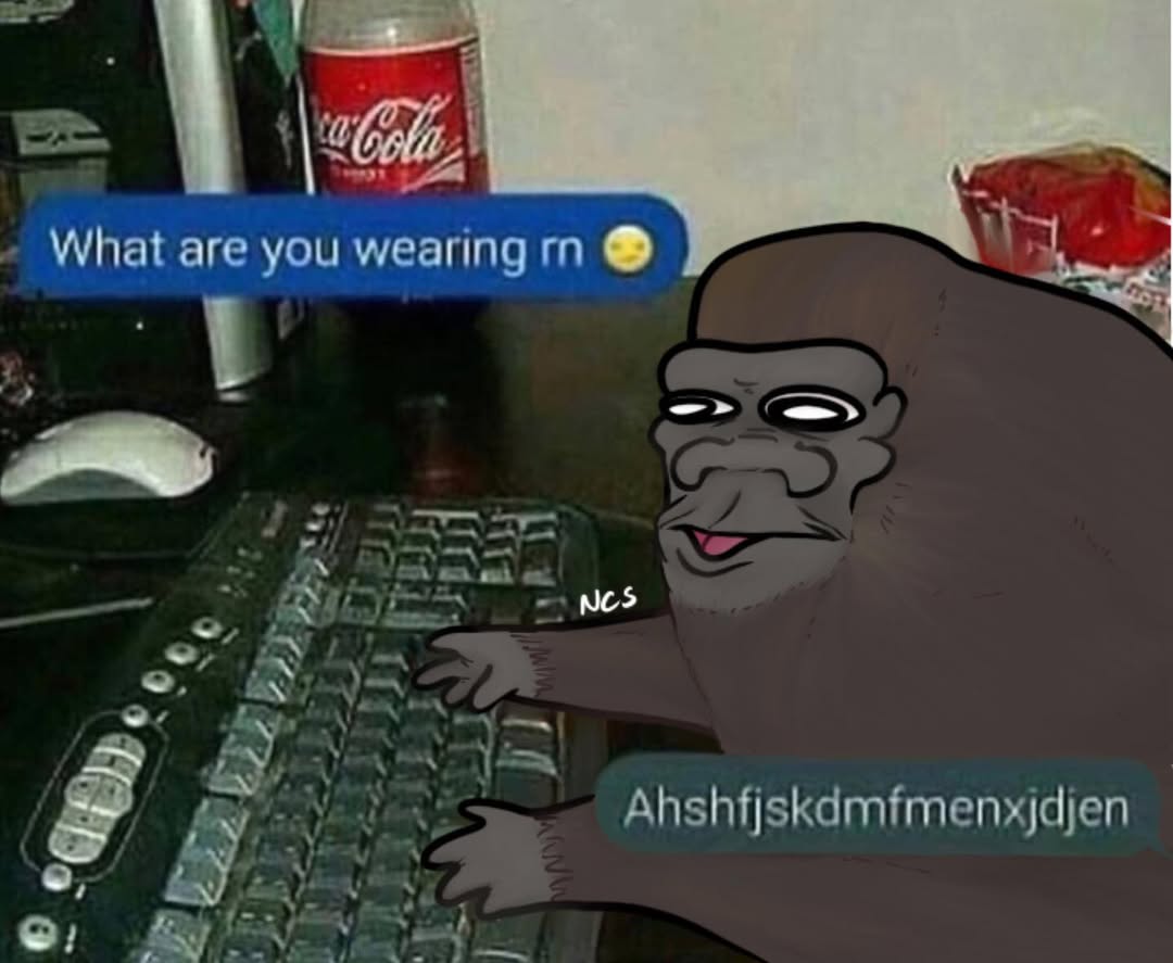What are you wearing meme