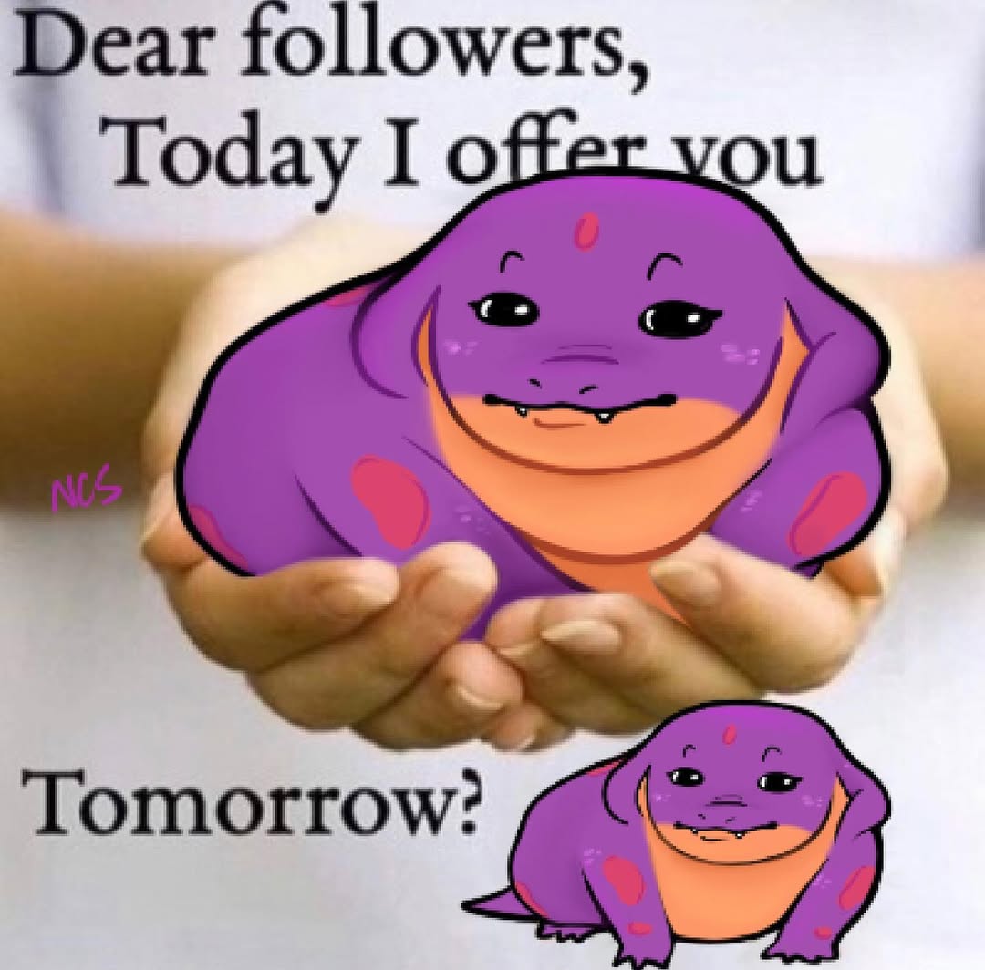 Dear followers meme