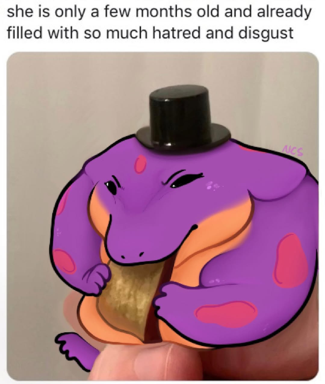 Hatred and disgust meme